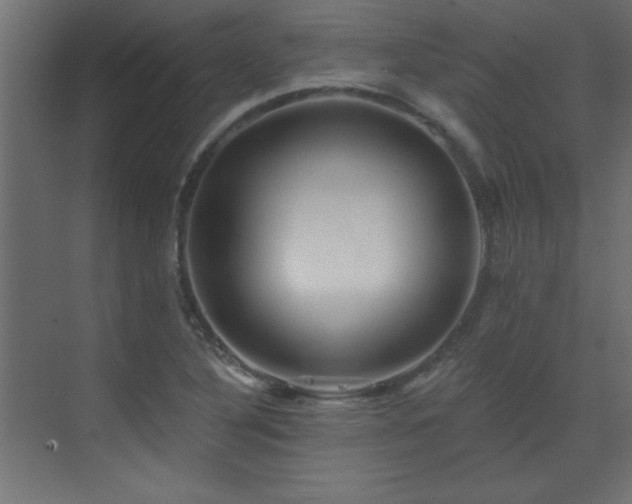 X0000073541316200607311342