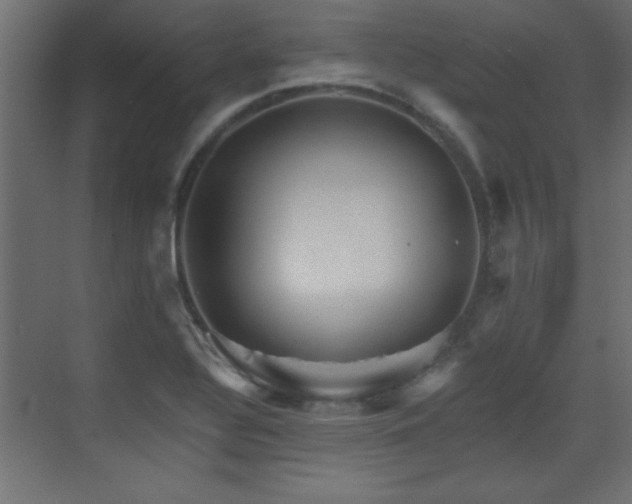 X0000073541320200607311342