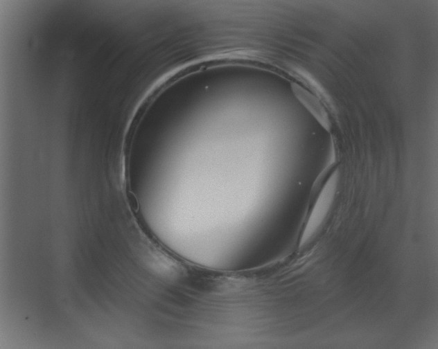 X0000073541324200607311342