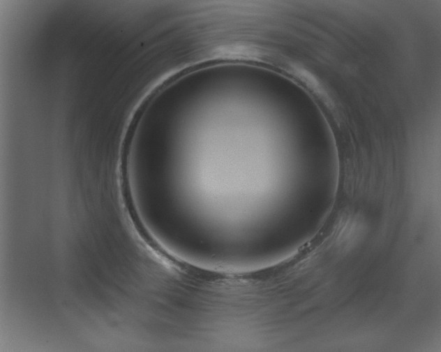 X0000073541331200607311342