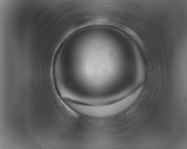 X0000073541334200607311342