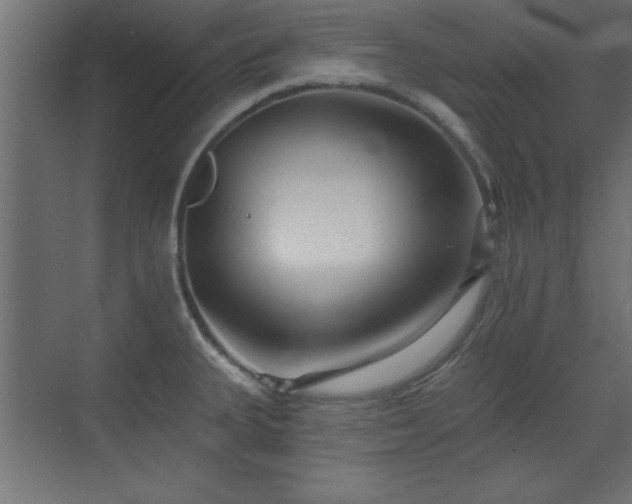 X0000073541335200607311342