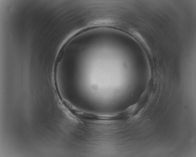 X0000073541336200607311342