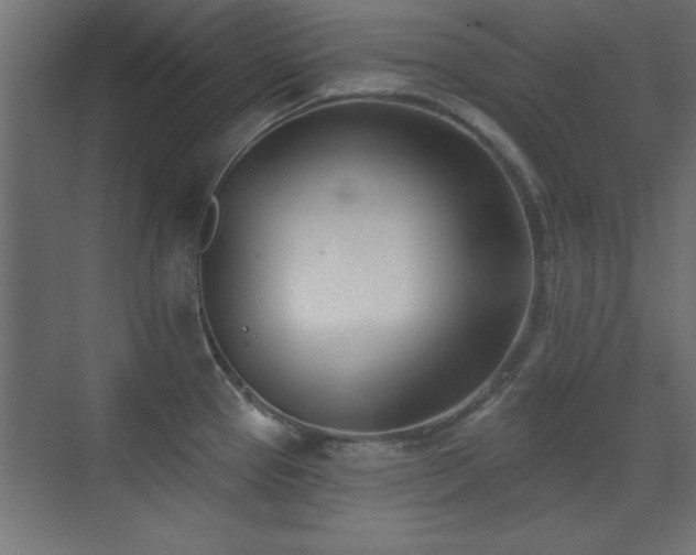 X0000073541337200607311342
