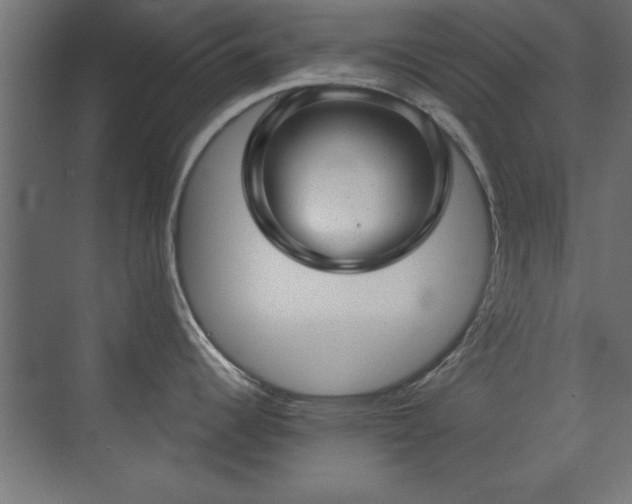X0000073541344200607311343