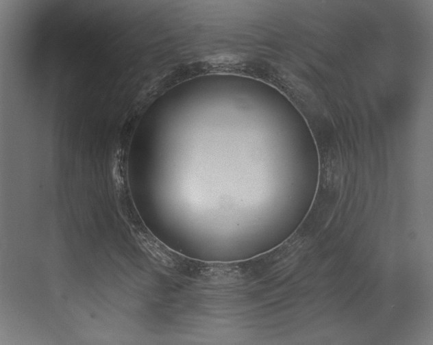 X0000073541346200607311342
