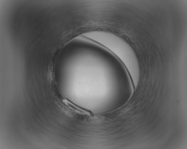 X0000073541348200607311342