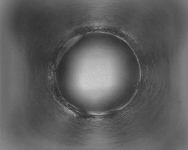 X0000073541349200607311342