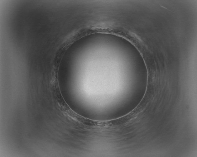 X0000073541350200607311342