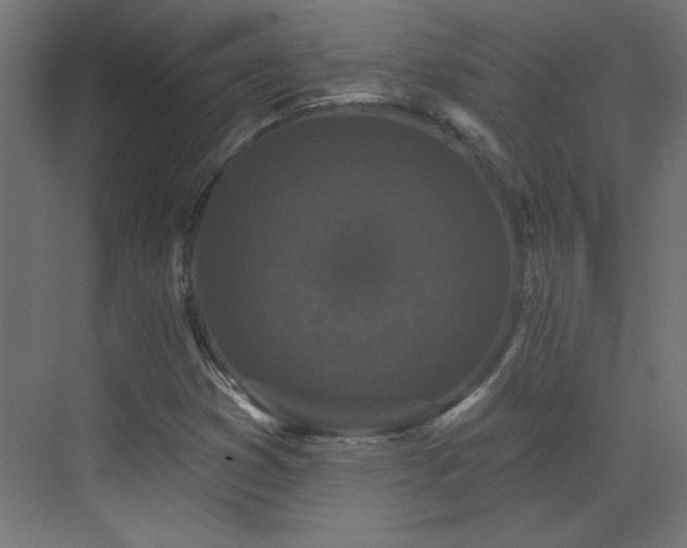 X0000073541353200607311342