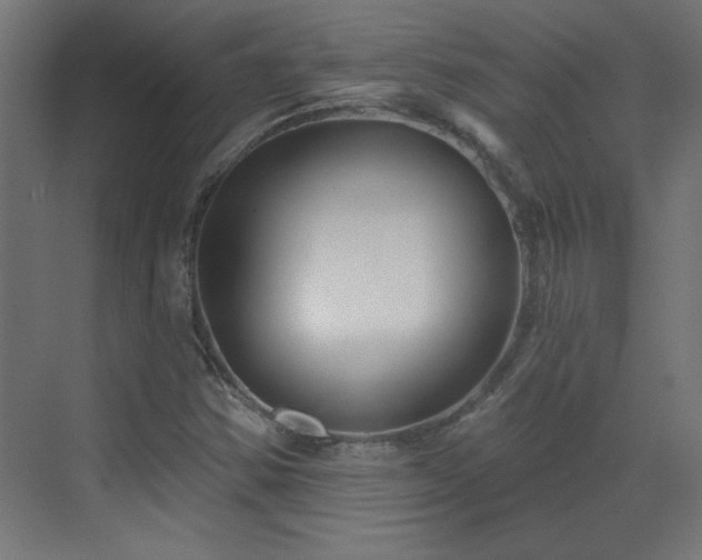 X0000073541354200607311342