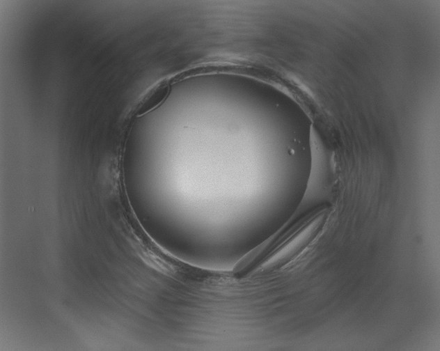 X0000073541355200607311342