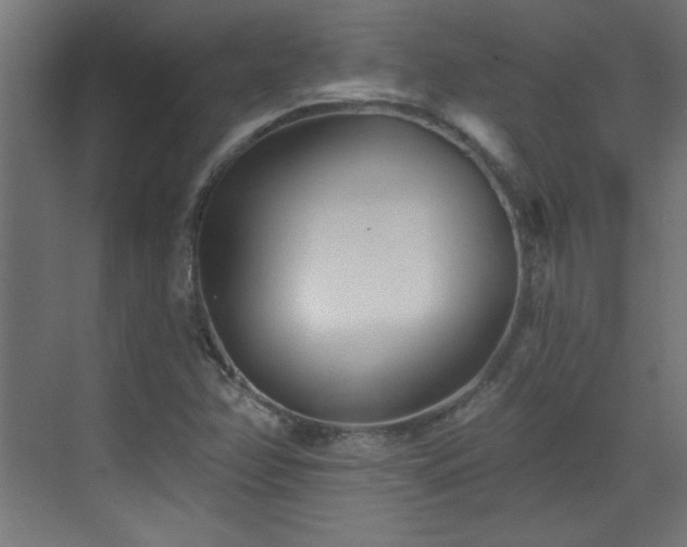 X0000073541358200607311341