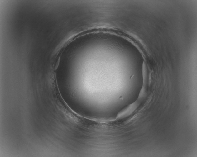 X0000073541359200607311341
