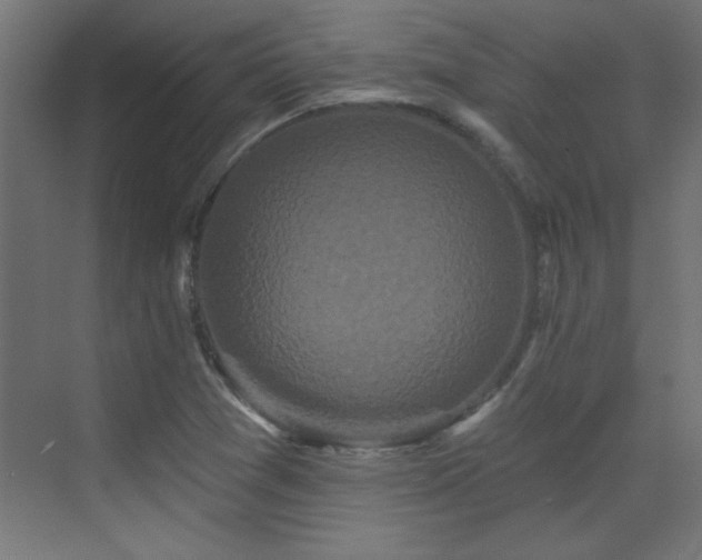 X0000073541361200607311341