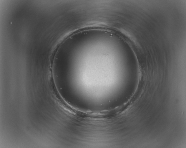 X0000073541363200607311341