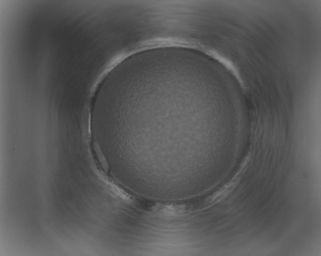X0000073541365200607311341