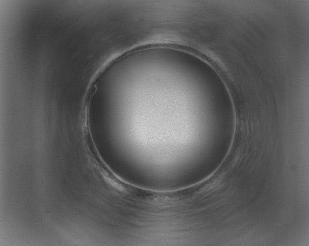 X0000073541366200607311341