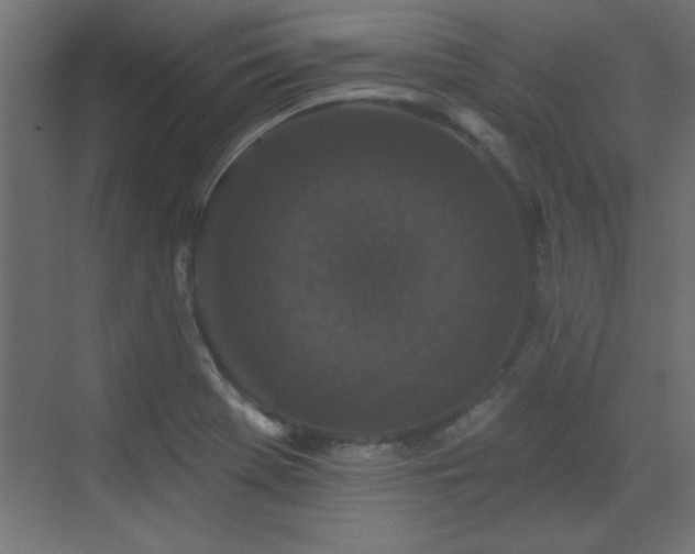X0000073541369200607311341