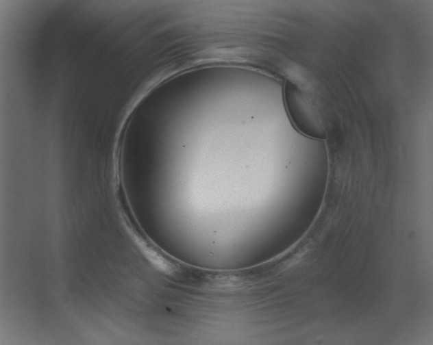 X0000073541370200607311341