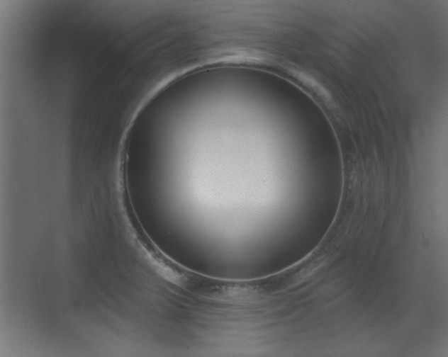 X0000073541375200607311341