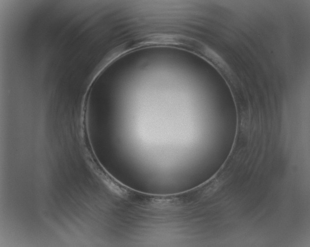 X0000073541378200607311341