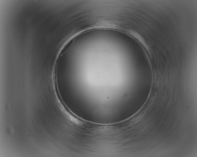 X0000073541387200607311341