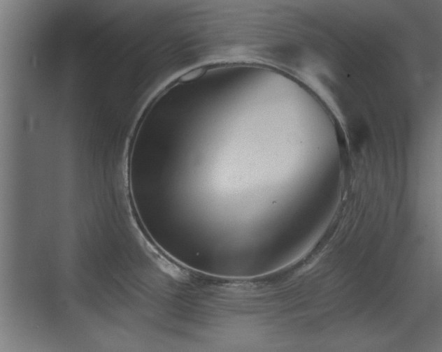 X0000073541388200607311341