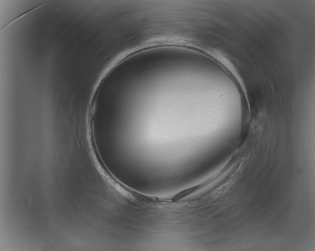 X0000073541389200607311341