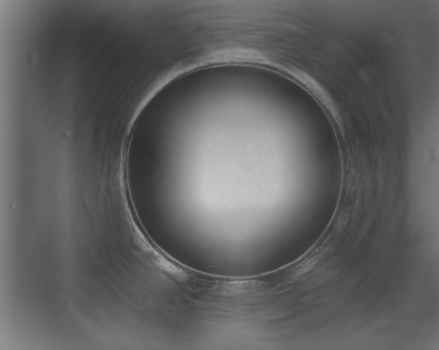 X0000073541390200607311341