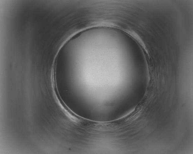X0000073541391200607311341