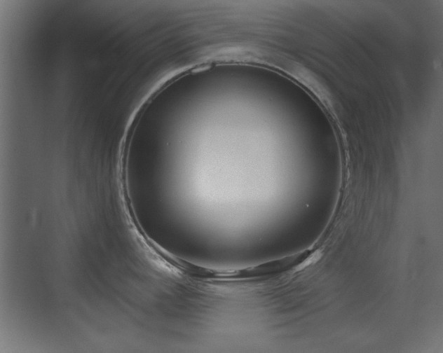X0000073541392200607311341