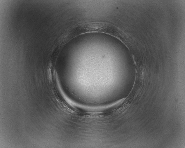 X0000073541394200607311340