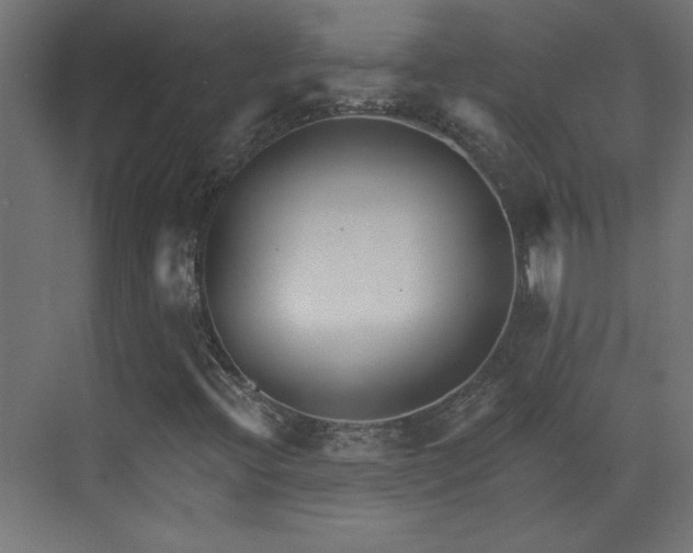 X0000073541396200607311340