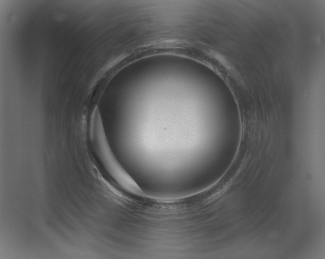 X0000073541402200607311340