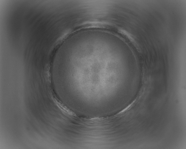 X0000073541403200607311340