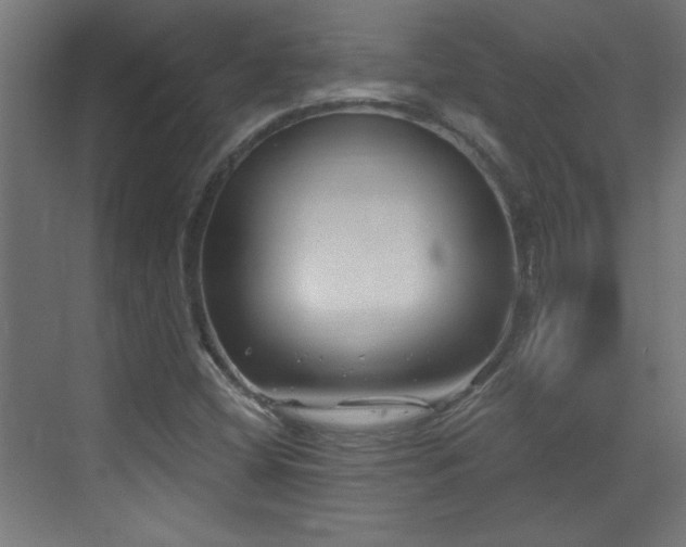 X0000073541404200607311340
