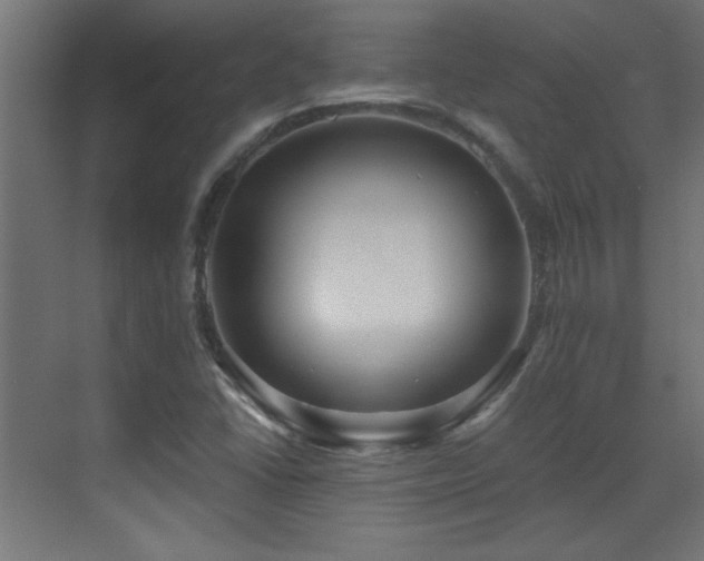 X0000073541406200607311340