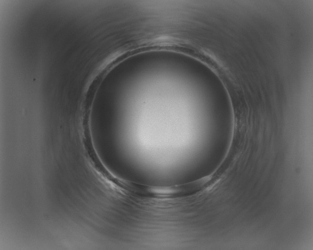 X0000073541410200607311340