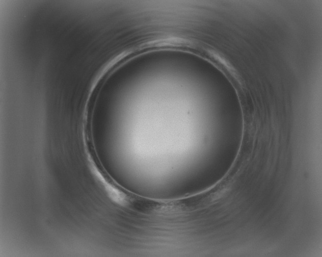 X0000073541418200607311341