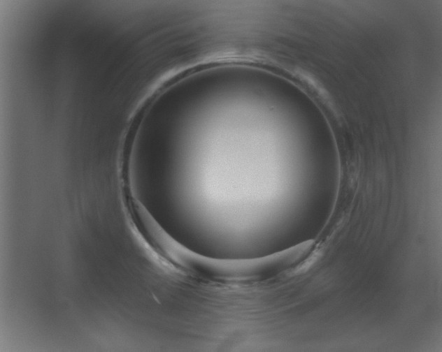 X0000073541422200607311341