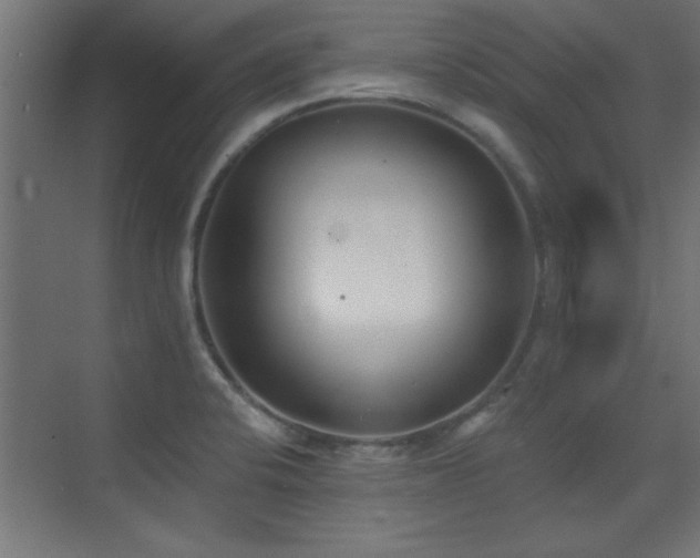 X0000073541424200607311341
