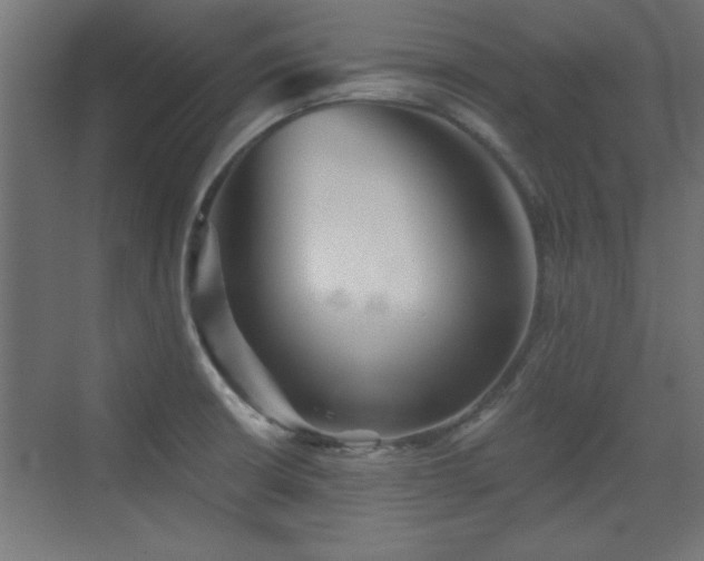 X0000073541426200607311341