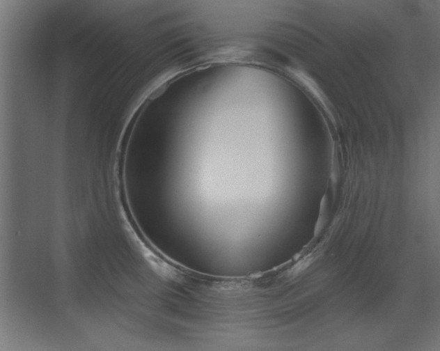 X0000073541434200607311341