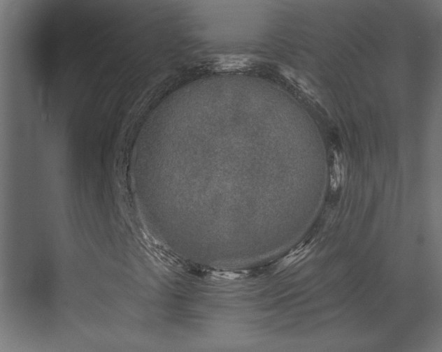 X0000073541441200607311340