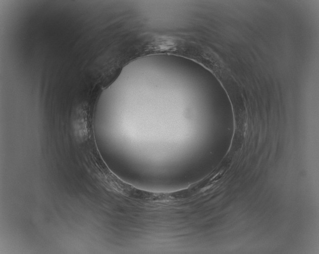 X0000073541442200607311340