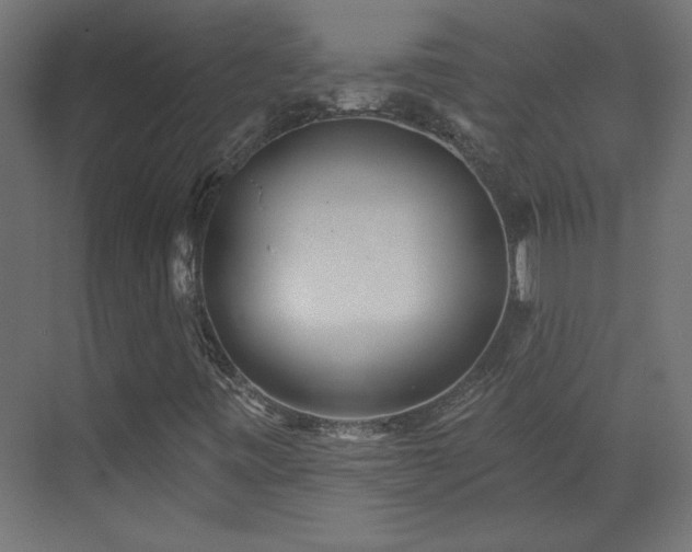 X0000073541443200607311340
