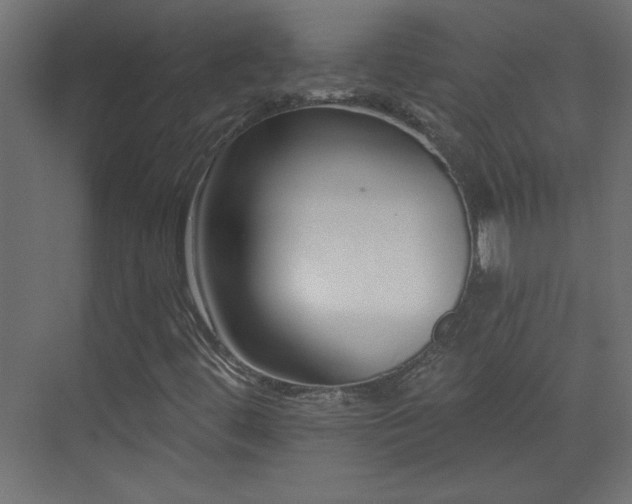X0000073541444200607311340