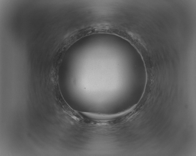 X0000073541445200607311340