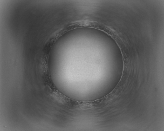 X0000073541446200607311340